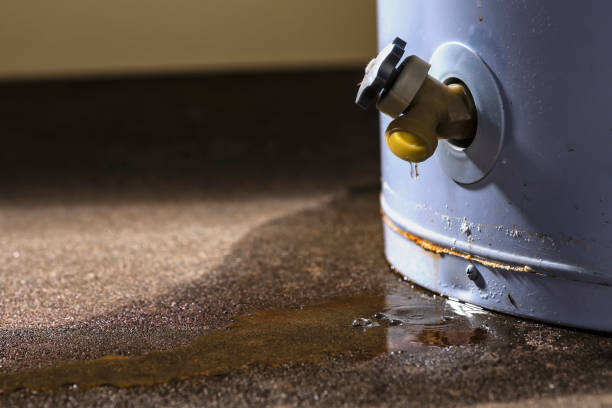 Best Mold removal after water damage  in Martinez, CA