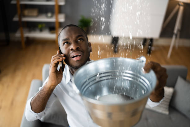Best Flood restoration services  in Martinez, CA