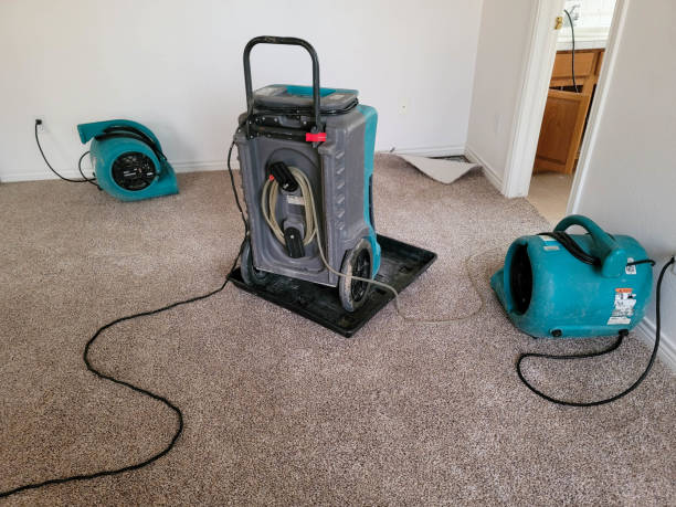 Best Water damage restoration near me  in Martinez, CA