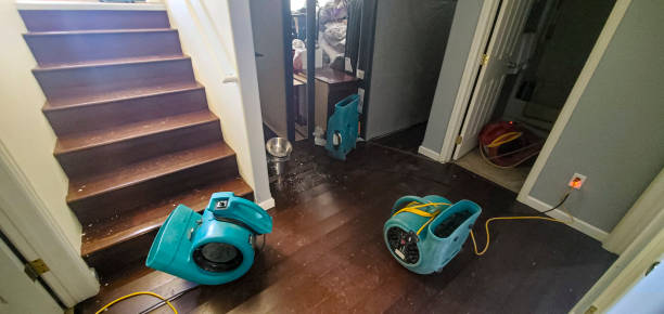Best Water damage restoration near me  in Martinez, CA