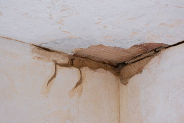 Trusted Martinez, CA Water damage restoration Experts
