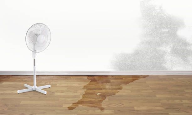 Best Ceiling water damage repair  in Martinez, CA