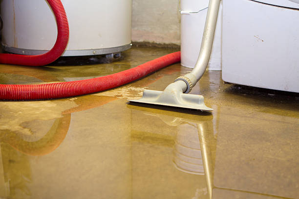 Best Sewage cleanup and water damage restoration  in Martinez, CA
