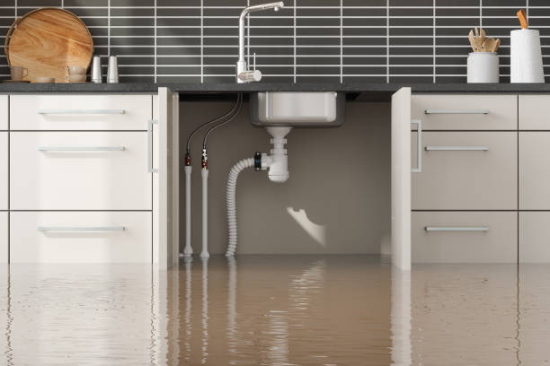 Best Carpet water damage restoration  in Martinez, CA