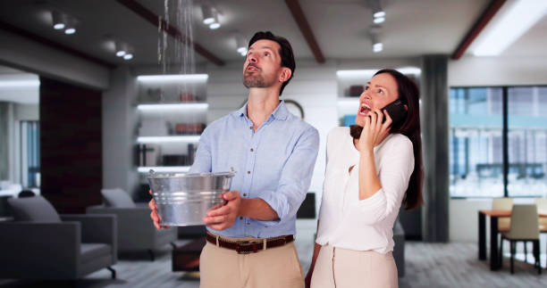 Best Local water damage restoration  in Martinez, CA