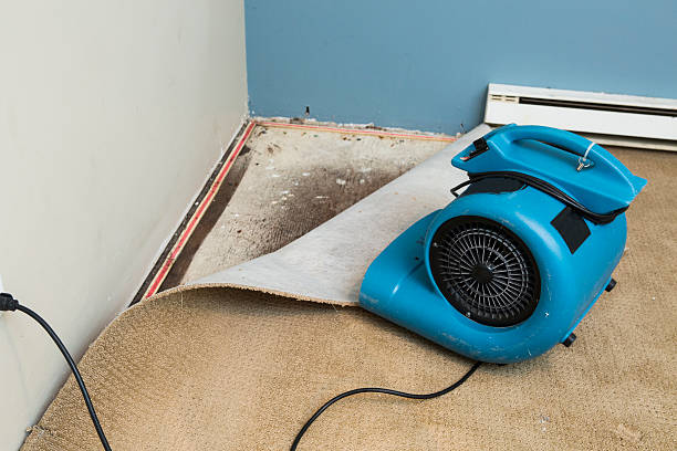 Water damage restoration mold remediation in Martinez, CA